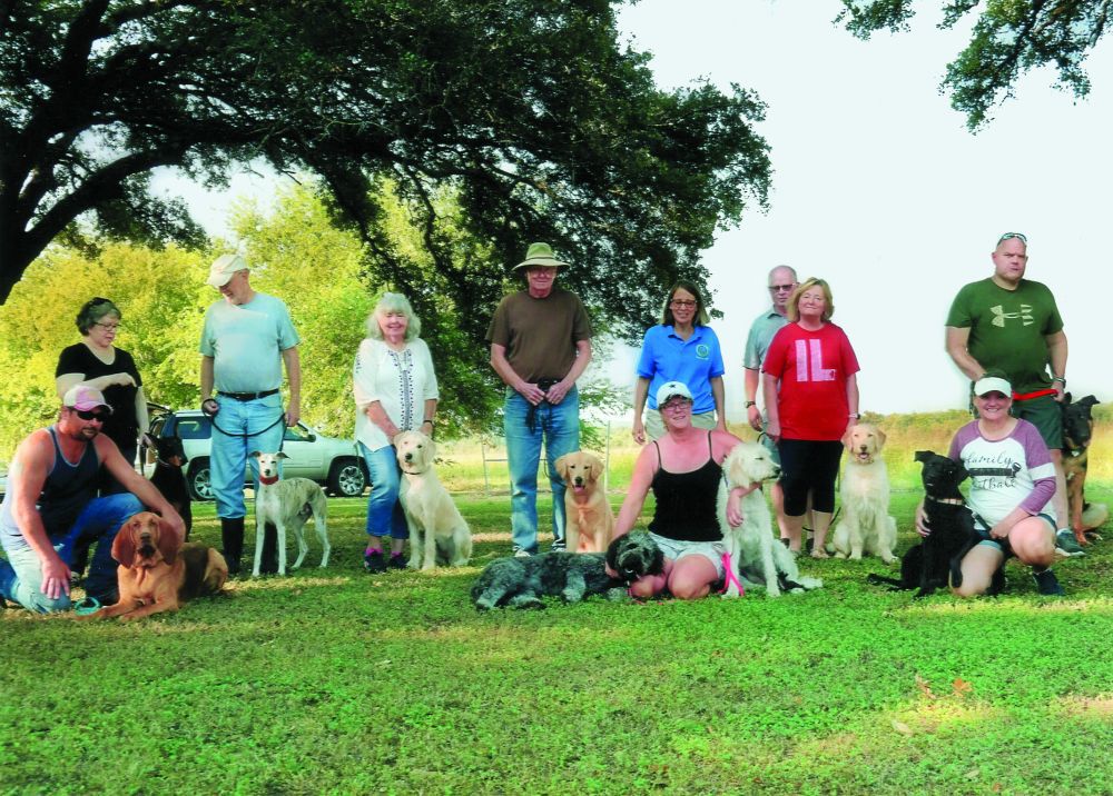 Canine good citizens